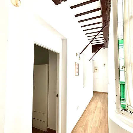Tia Norica - Centro Cadiz Apartment Exterior photo